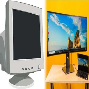 What does a monitor do